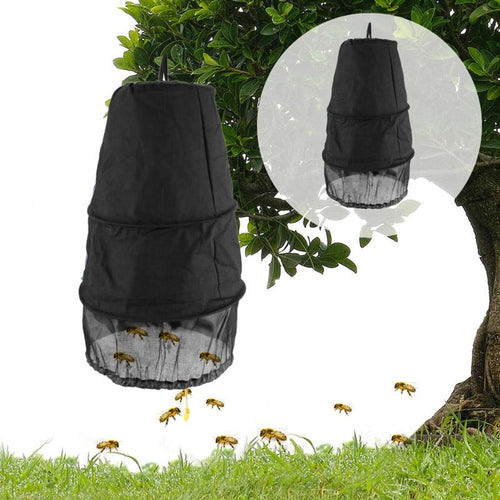Beekeeping Catching